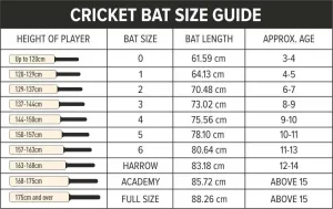 Size of cricket bat