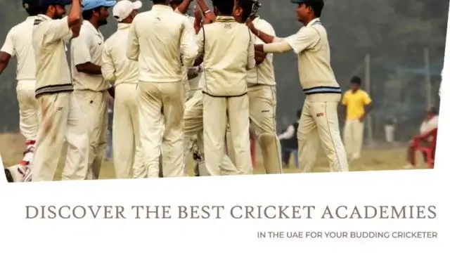 Top Cricket Academies in the UAE: Where Champions Are Forged